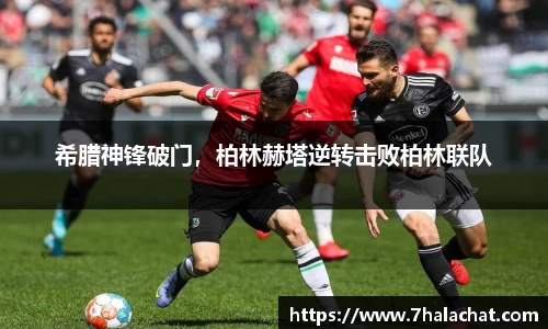 球速体育官方网站