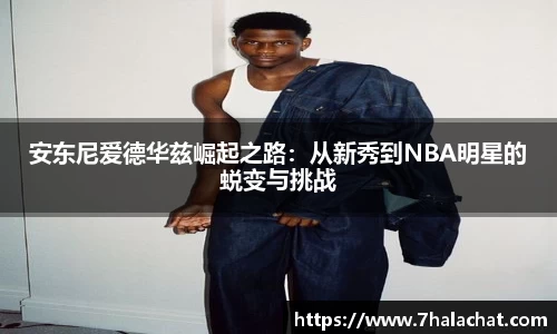 球速体育官方app