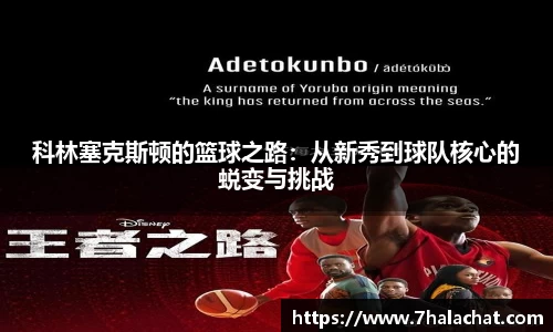 球速体育官方app